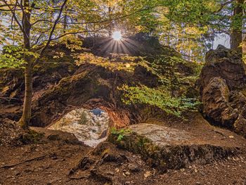 Eintauchen & Genießen