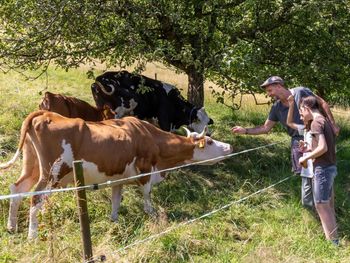 Aktiv im Dreisamtal - 4 Tage inkl. Lunchpaket