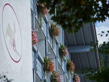3 Tage Füssener-Allgäu-Auszeit: Wellness & Kulinarik