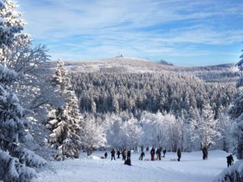 Harzer Last - Minute Winter-Schnäppchen ( 3 Tage )