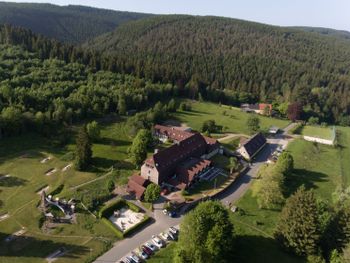 4 aktive Kuscheltage im Harz mit Romantik und Therme