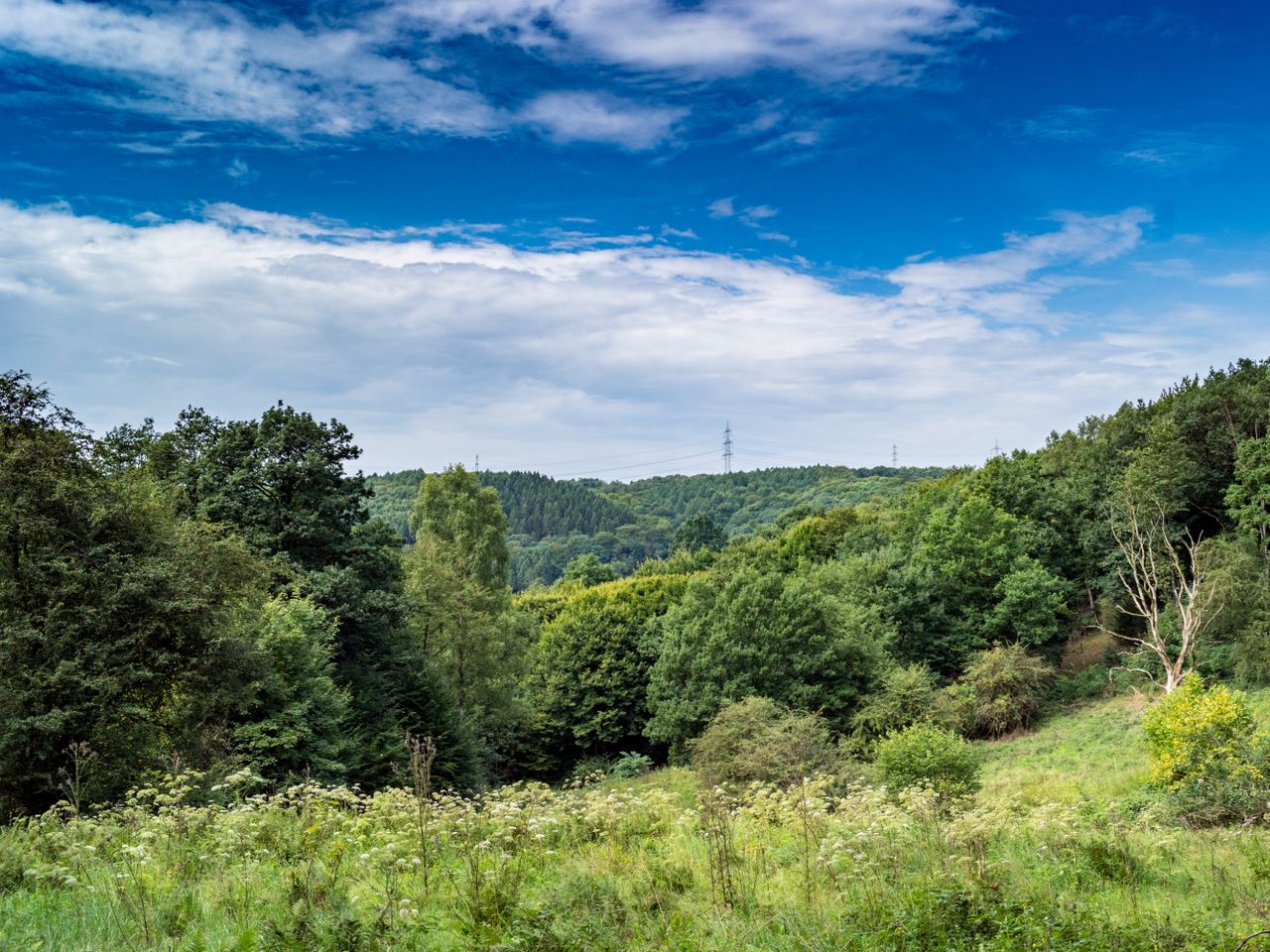 Zweisamkeit im Bergischen Land