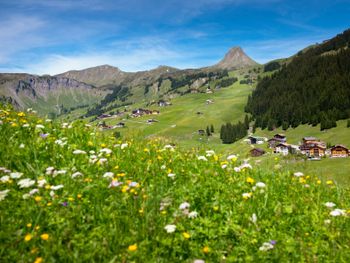 4 Tage - wandern, biken, erholen im Bregenzerwald