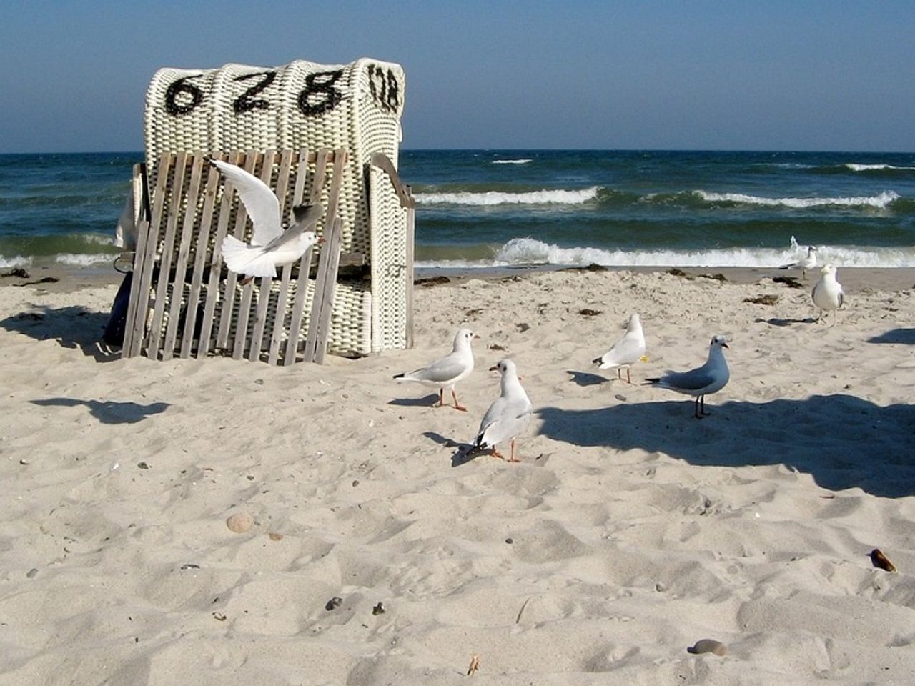 Urlaub nahe der Ostsee - 5 Nächte