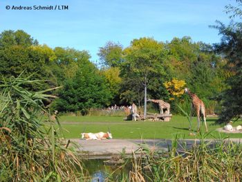 LOGINn & enjoy @ Zoo Leipzig! (1ÜN) inkl. Tagesticket