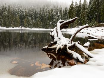 Eine Woche Thüringer Wald mit Halbpension