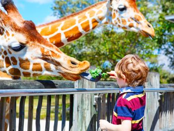 Opelzoo und Übernachtung im Taunus (1)