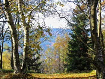 Kurluft schnuppern in Bad Soden | 4 Tage