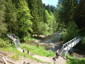 Schwarzwald Auszeit - 4 Tage