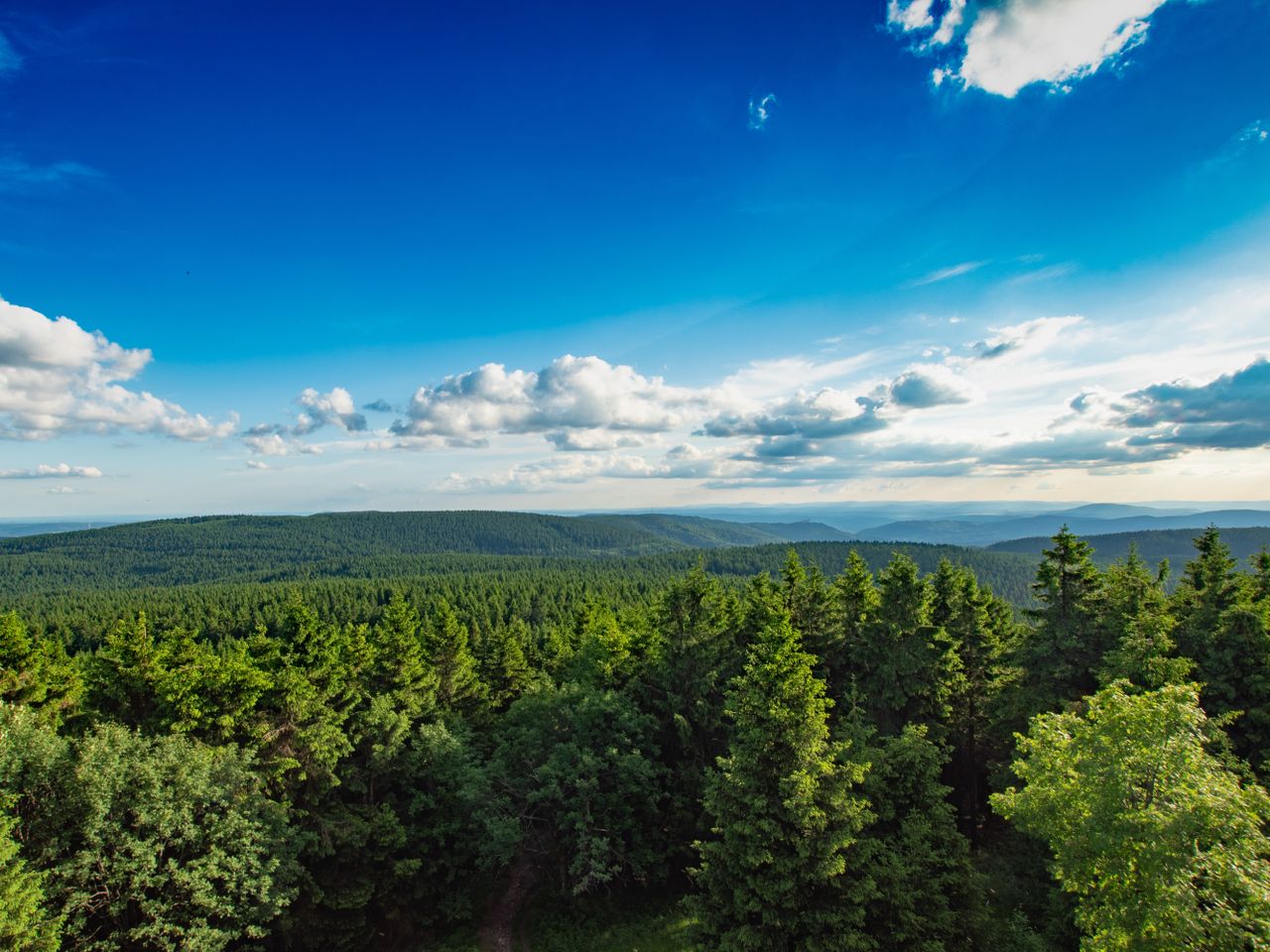 Ihre Auszeit im Thüringer Wald - 4 Tage Vollpension