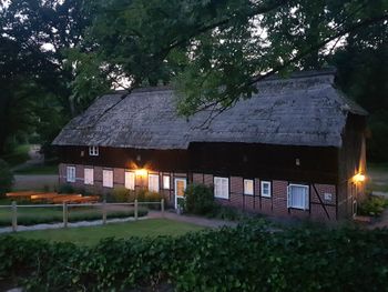 Die Lüneburger Heide und die Heideblüte erleben