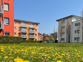 3 Nächte Berlin inkl. Eintritt in den Tierpark