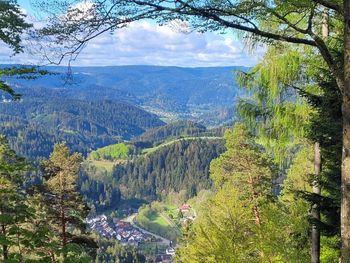 4 Tage Auszeit im wunderschönen Schwarzwald