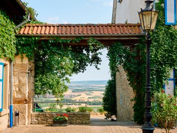 Yoga-Arrangement "Innere Ruhe im Weinberg"