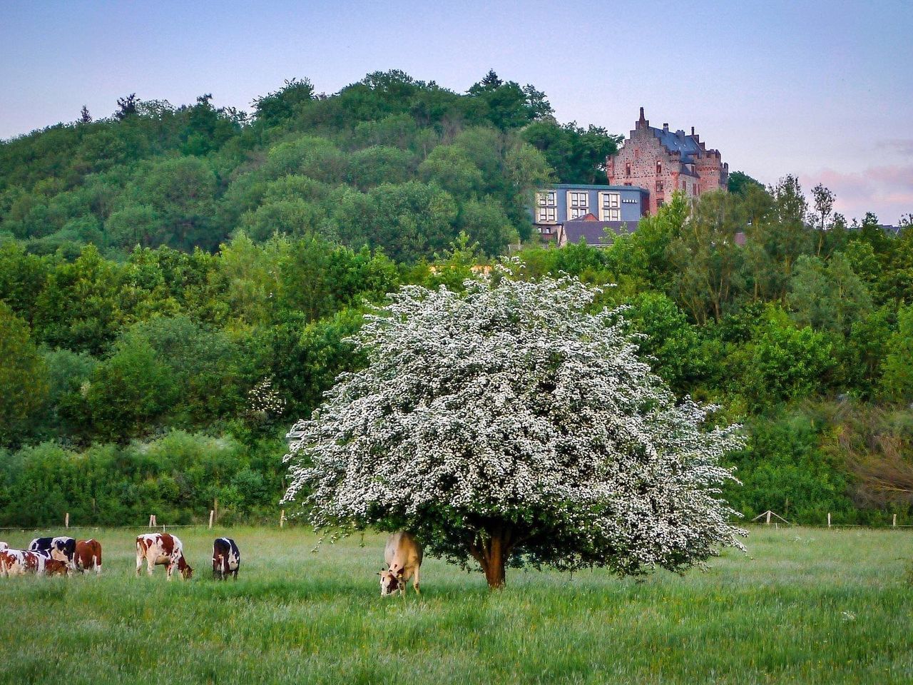 Familientage auf Burg Staufenberg (3 Personen)