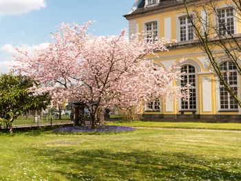 Auszeit vom Alltag in Bonn