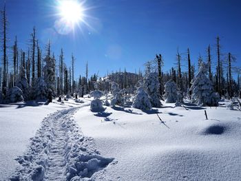 Bad Lauterberg endecken 3 Tage