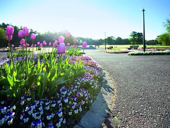 Schnupper-Wellnessurlaub in Niederbayern - 4 Tage