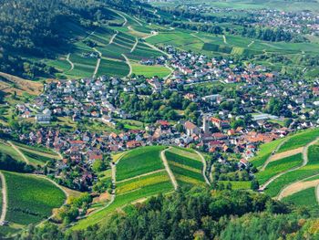 Weinschmecker im Baden-Badener Rebland - 7 Tage