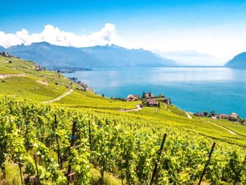 5 Tage Freddie Mercury, Montreux und der Genfer See