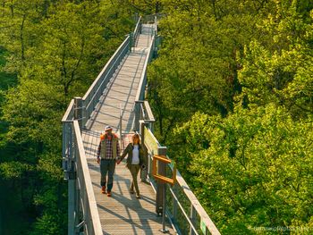 Baumwipfelpfad Harz, Burgberg-Seilbahn & Wellness