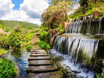 Natur pur  mit Baumwipfelpfad 3 Tage