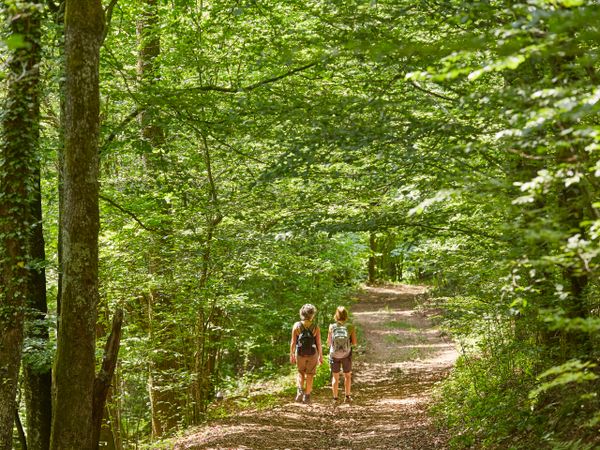 5 Tage WanderVergnügen im Schwarzwald in Elzach-Oberprechtal, Baden-Württemberg inkl. Halbpension Plus