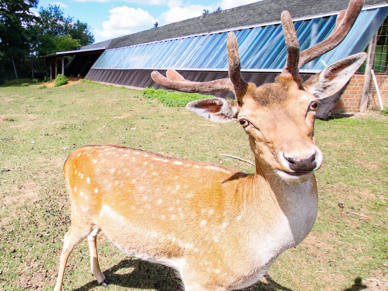 3 Tage Harz-Schnäppchen inkl. Halbpension plus