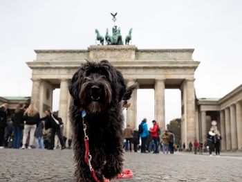 Berlin-Kurztrip mit Hund
