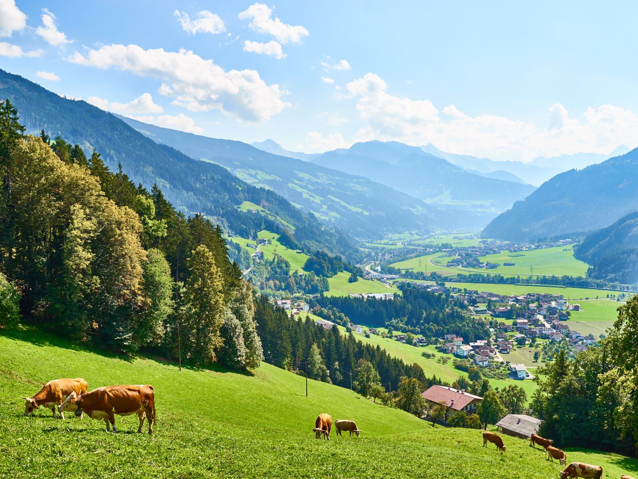 Frühlingstage in Bio