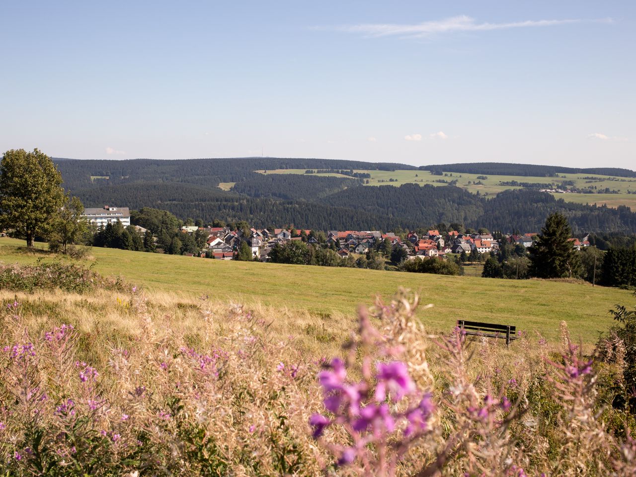 5 Tage Wanderlust im Thüringer Wald mit Halbpension