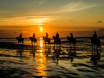 Rømøurlaub direkt am Wattenmeer