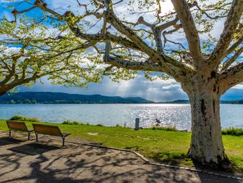 5 Erholungstage am Ufer des Bodensees