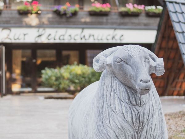 3 Tage Schnuckeliger Kurzurlaub in Asendorf, Niedersachsen inkl. Halbpension