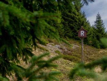 Erlebnisse im Thüringer Wald - 5 Tage in Suhl