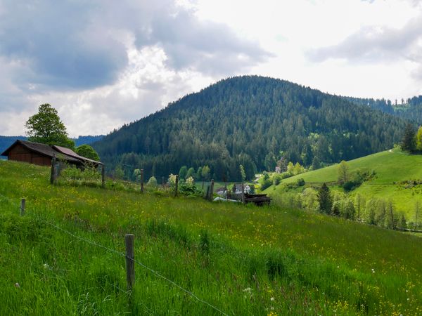 6 Tage Schwarzwald Kirschtorte, Wandern,  Wellness in Waldachtal, Baden-Württemberg inkl. Halbpension