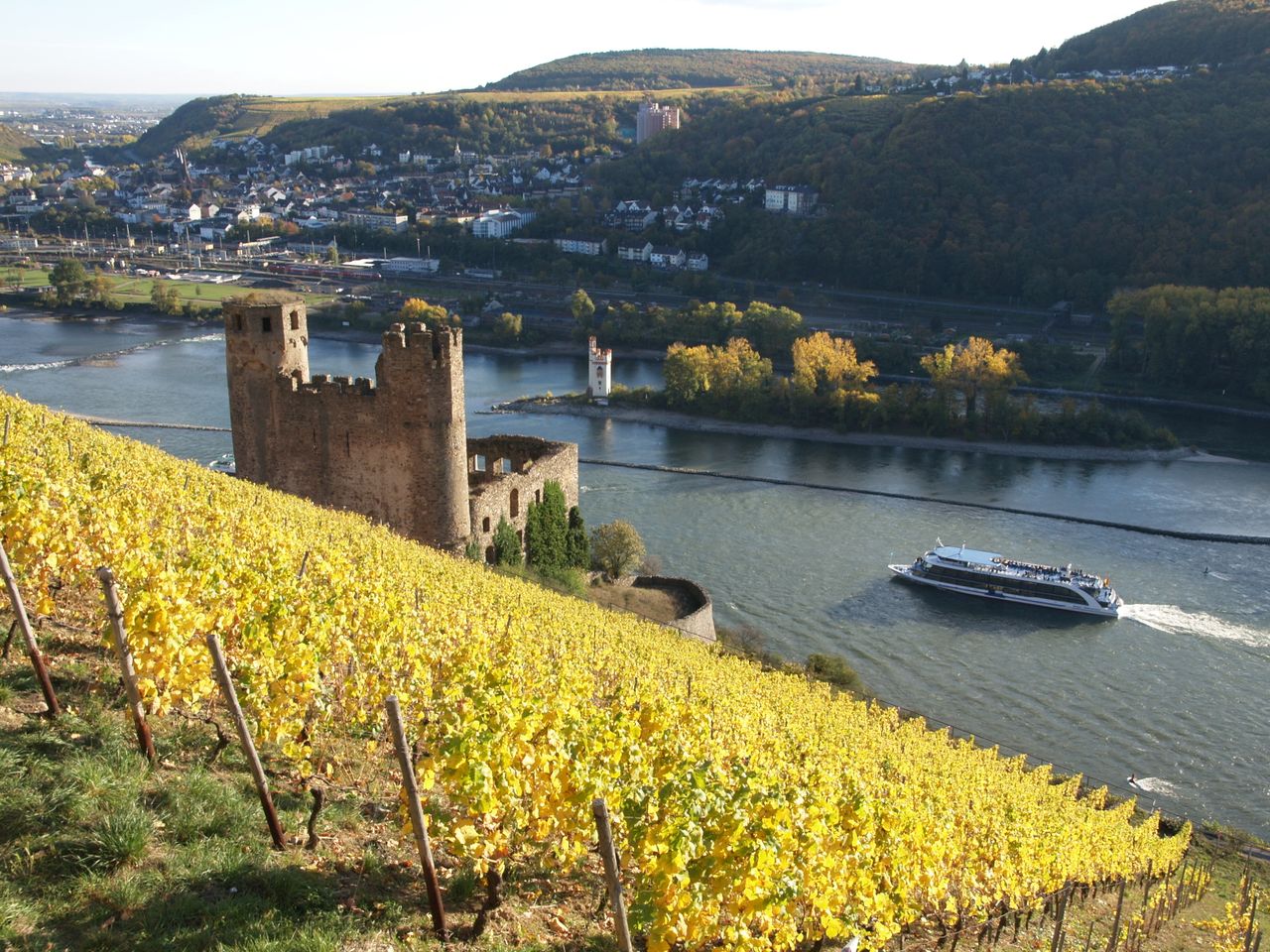 Rüdesheim vom Schiff erleben inkl. Weinprobe