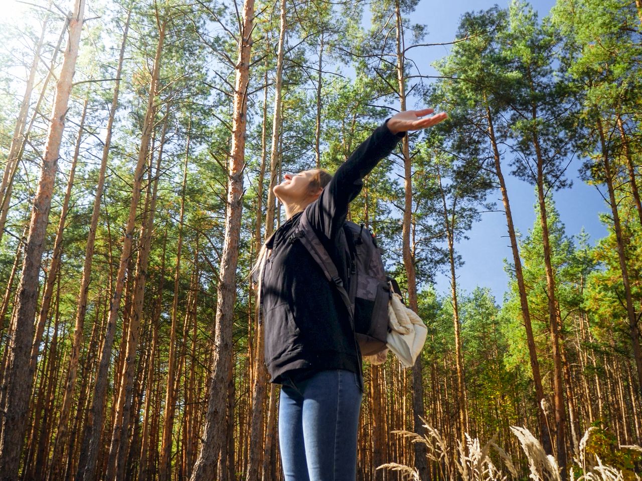 Wandern im Harz