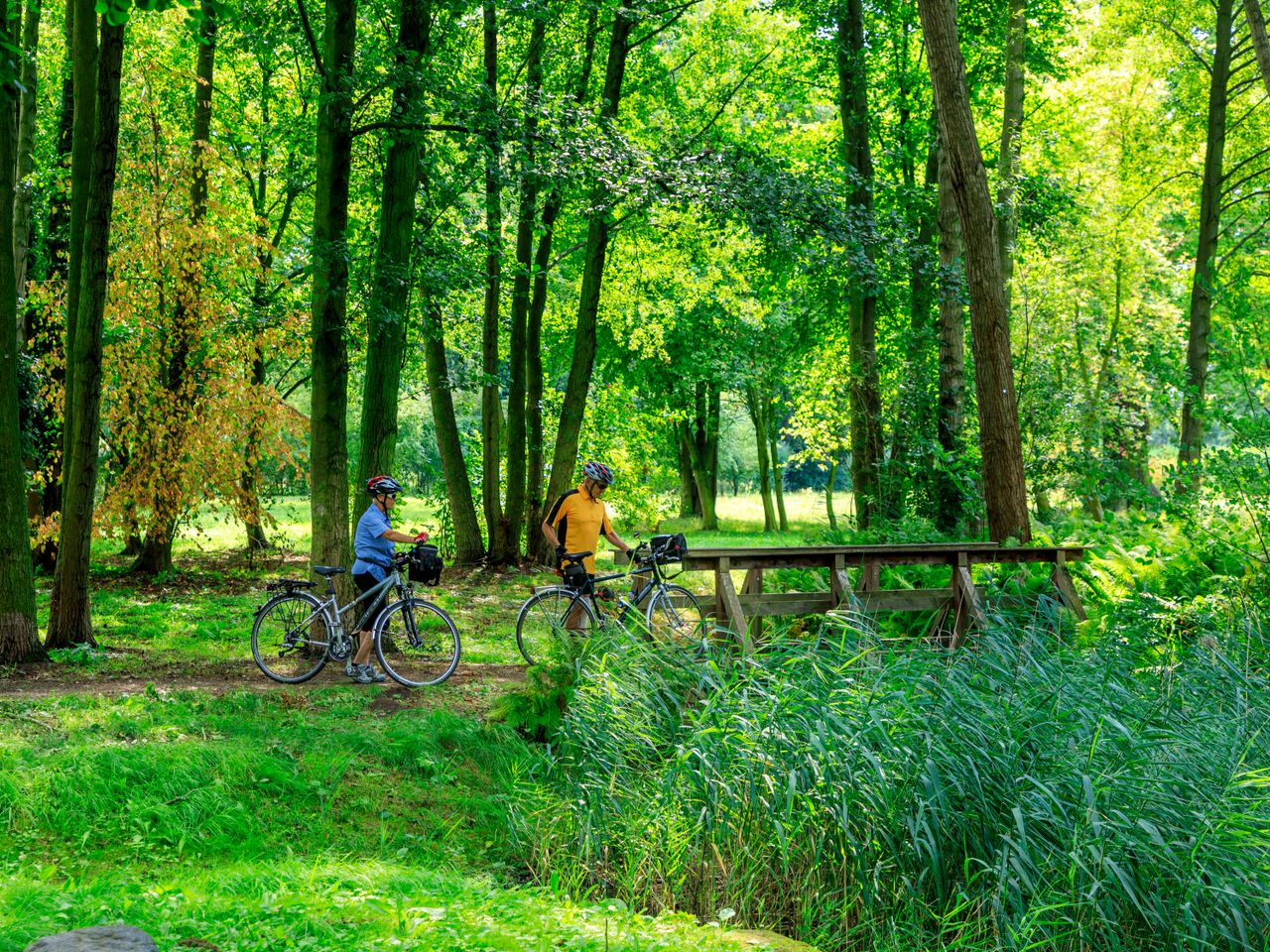 3 Tage Wellness mit Tagesaufenthalt Spreewald-Therme