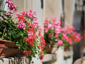 Je länger desto besser - Romantik, Kultur, Wellness