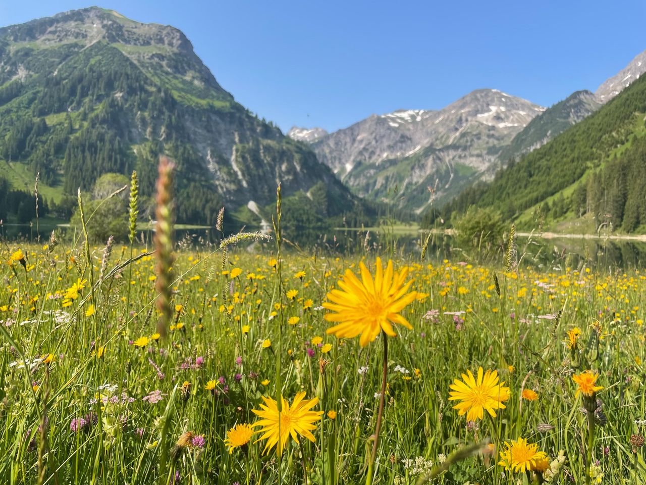 Allgäuer Natur erleben (3 Nächte)