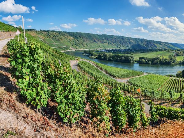 Auszeit im Weinort an der Mosel – 5 Tage in Ellenz-Poltersdorf, Rheinland-Pfalz inkl. Frühstück